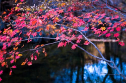 性插插gif动态图热门内容